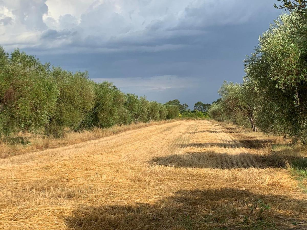 Agriturismo Beveraggio Appartamenti Marina di Grosseto Ngoại thất bức ảnh
